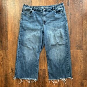 R JEANS The High Rise frayed hem, wide leg jeans, plus size Canada 36/ US 16